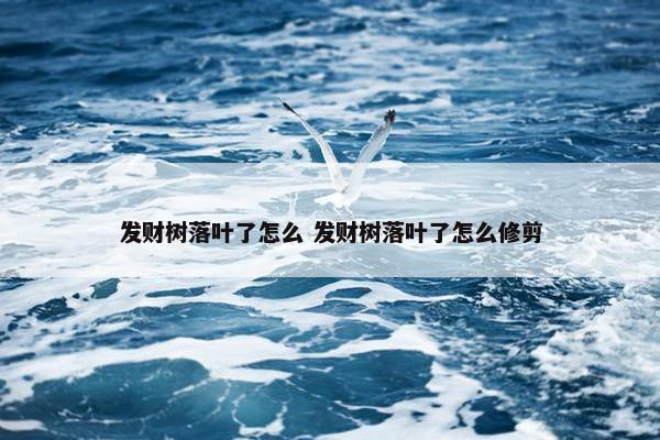 发财树落叶了怎么 发财树落叶了怎么修剪