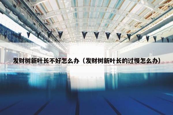 发财树新叶长不好怎么办（发财树新叶长的过慢怎么办）