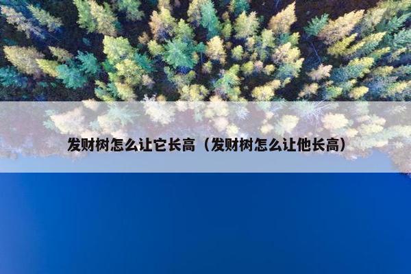 发财树怎么让它长高（发财树怎么让他长高）