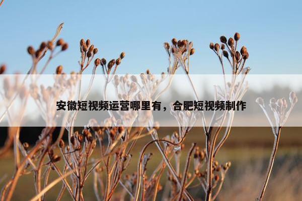 安徽短视频运营哪里有，合肥短视频制作