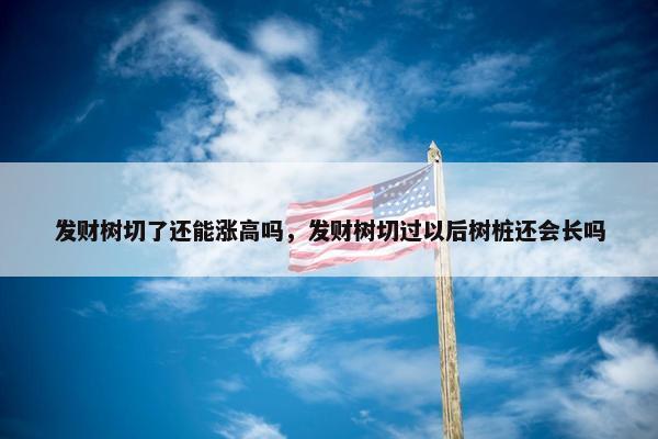 发财树切了还能涨高吗，发财树切过以后树桩还会长吗