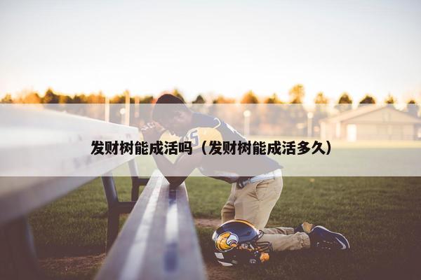 发财树能成活吗（发财树能成活多久）