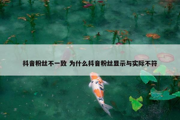 抖音粉丝不一致 为什么抖音粉丝显示与实际不符