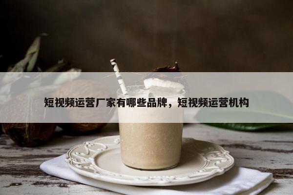 短视频运营厂家有哪些品牌，短视频运营机构