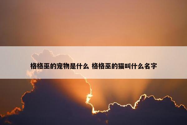 格格巫的宠物是什么 格格巫的猫叫什么名字