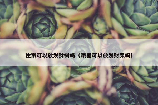 住家可以放发财树吗（家里可以放发财果吗）