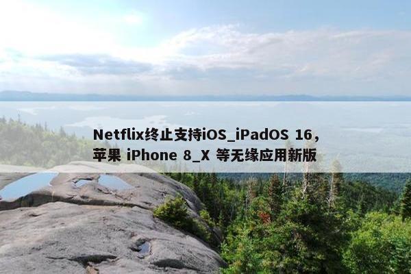 Netflix终止支持iOS_iPadOS 16，苹果 iPhone 8_X 等无缘应用新版