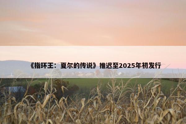 《指环王：夏尔的传说》推迟至2025年初发行