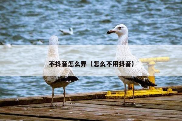 不抖音怎么弄（怎么不用抖音）