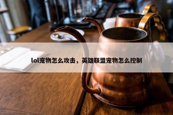 lol宠物怎么攻击，英雄联盟宠物怎么控制