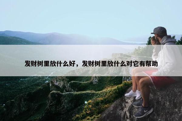 发财树里放什么好，发财树里放什么对它有帮助