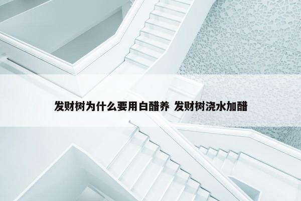 发财树为什么要用白醋养 发财树浇水加醋