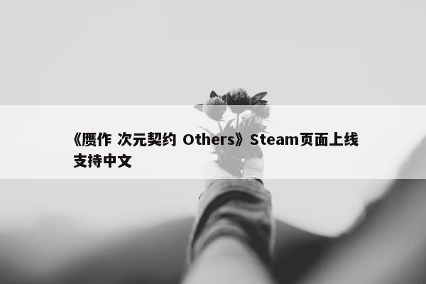 《赝作 次元契约 Others》Steam页面上线 支持中文