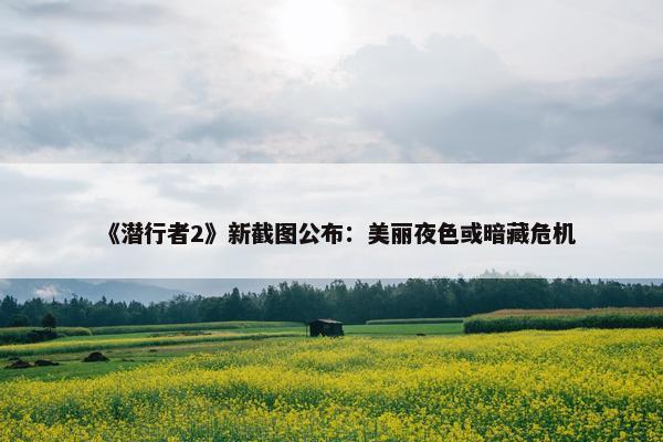 《潜行者2》新截图公布：美丽夜色或暗藏危机