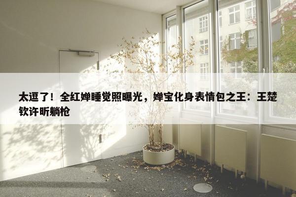 太逗了！全红婵睡觉照曝光，婵宝化身表情包之王：王楚钦许昕躺枪