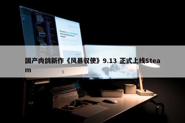 国产肉鸽新作《风暴驭使》9.13 正式上线Steam