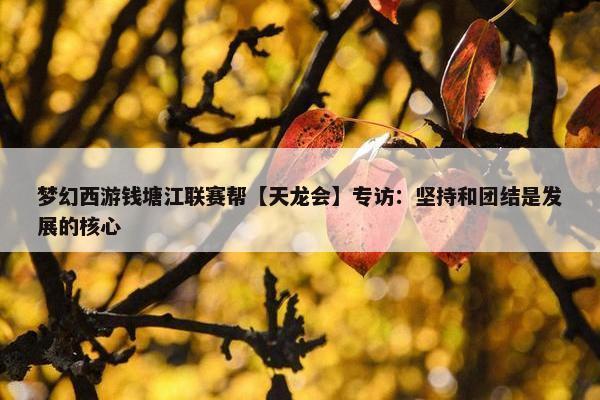 梦幻西游钱塘江联赛帮【天龙会】专访：坚持和团结是发展的核心