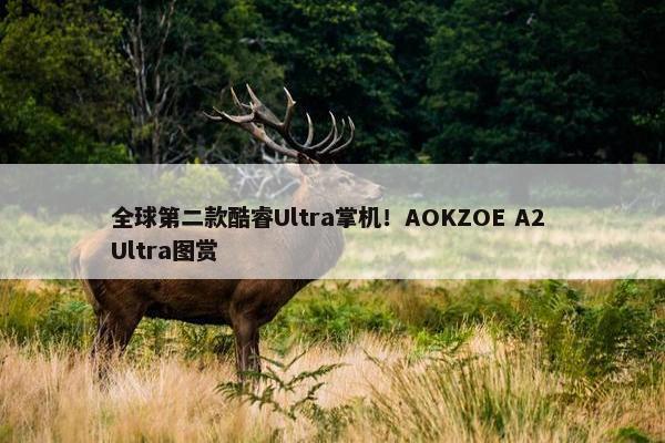 全球第二款酷睿Ultra掌机！AOKZOE A2 Ultra图赏