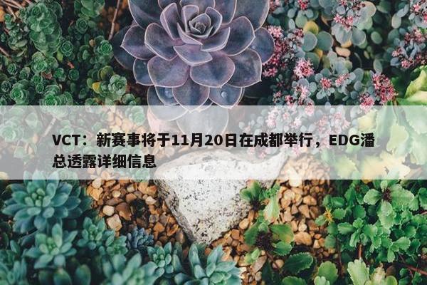 VCT：新赛事将于11月20日在成都举行，EDG潘总透露详细信息