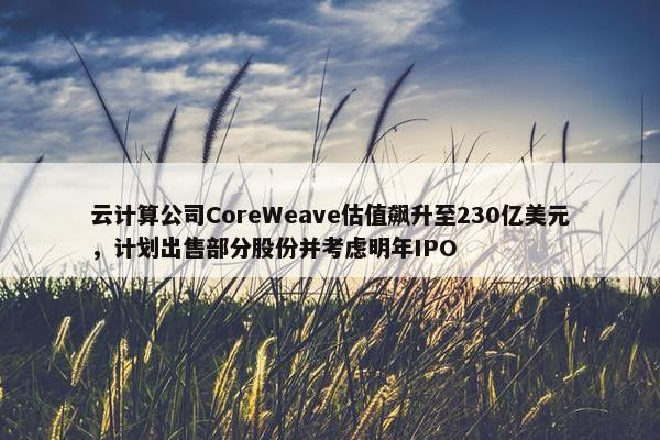 云计算公司CoreWeave估值飙升至230亿美元，计划出售部分股份并考虑明年IPO