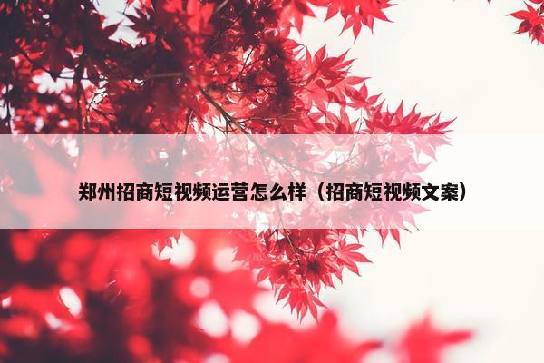 郑州招商短视频运营怎么样（招商短视频文案）