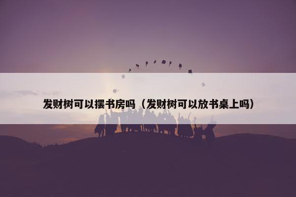 发财树可以摆书房吗（发财树可以放书桌上吗）