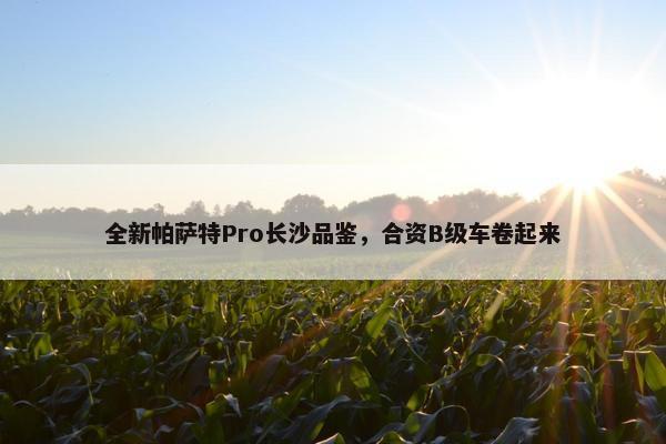 全新帕萨特Pro长沙品鉴，合资B级车卷起来