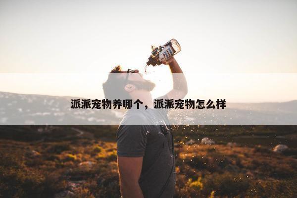 派派宠物养哪个，派派宠物怎么样