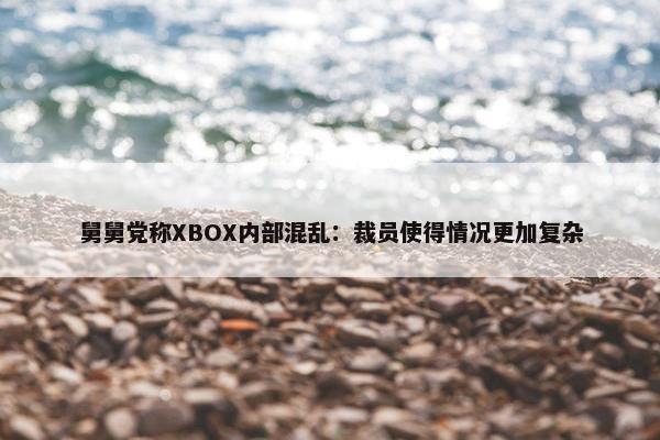 舅舅党称XBOX内部混乱：裁员使得情况更加复杂