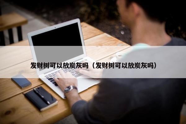 发财树可以放炭灰吗（发财树可以放炭灰吗）