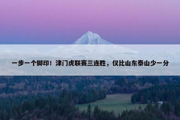 一步一个脚印！津门虎联赛三连胜，仅比山东泰山少一分