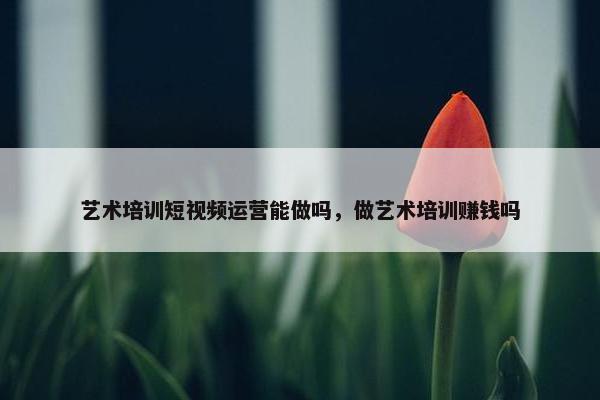 艺术培训短视频运营能做吗，做艺术培训赚钱吗