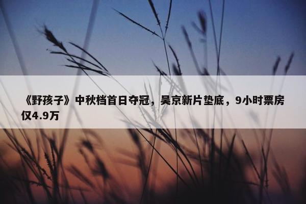 《野孩子》中秋档首日夺冠，吴京新片垫底，9小时票房仅4.9万