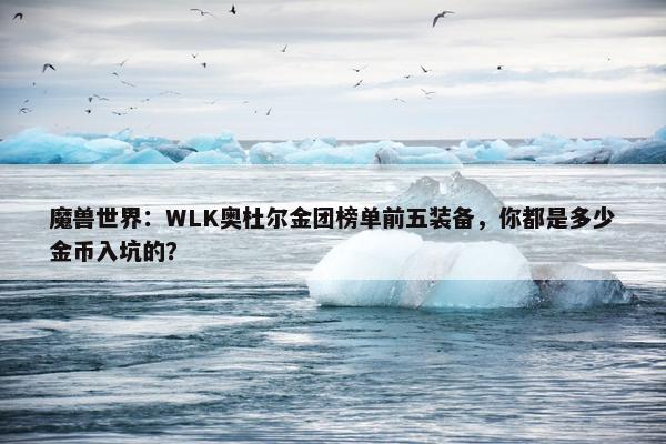 魔兽世界：WLK奥杜尔金团榜单前五装备，你都是多少金币入坑的？