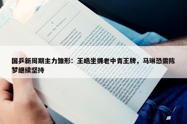 国乒新周期主力雏形：王皓坐拥老中青王牌，马琳恐需陈梦继续坚持