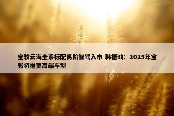 宝骏云海全系标配高阶智驾入市 韩德鸿：2025年宝骏将推更高端车型