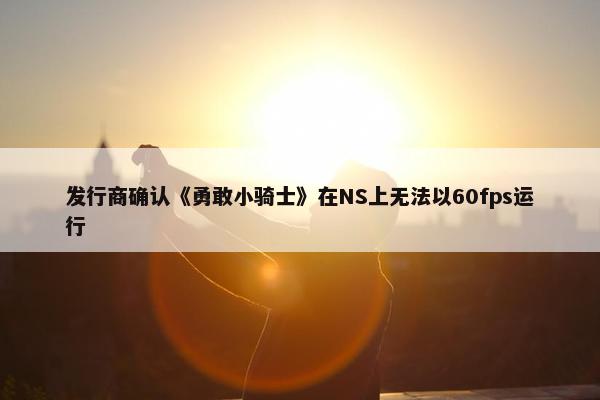 发行商确认《勇敢小骑士》在NS上无法以60fps运行