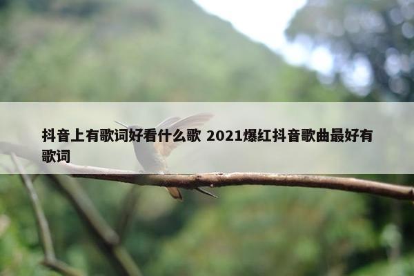 抖音上有歌词好看什么歌 2021爆红抖音歌曲最好有歌词