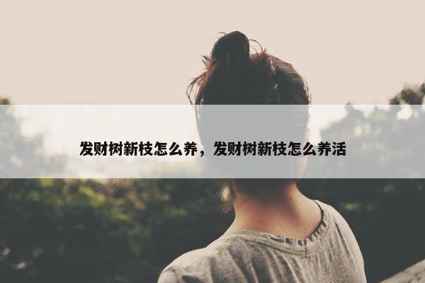 发财树新枝怎么养，发财树新枝怎么养活