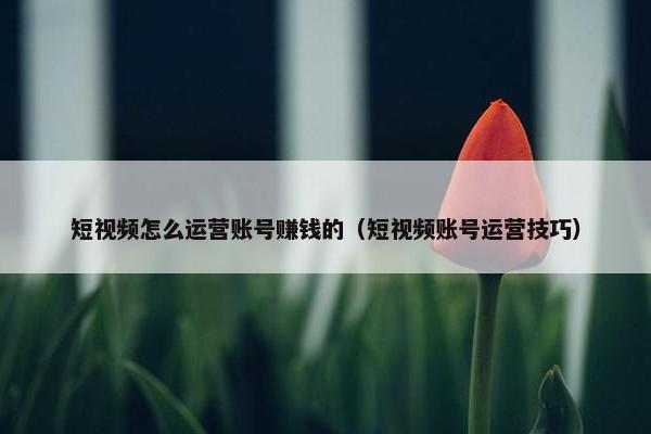 短视频怎么运营账号赚钱的（短视频账号运营技巧）