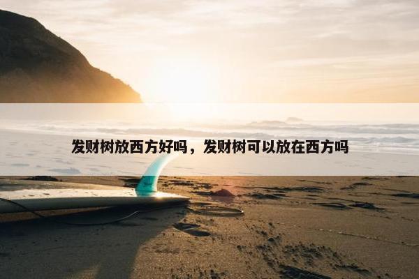 发财树放西方好吗，发财树可以放在西方吗