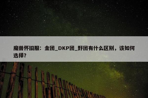 魔兽怀旧服：金团_DKP团_野团有什么区别，该如何选择？