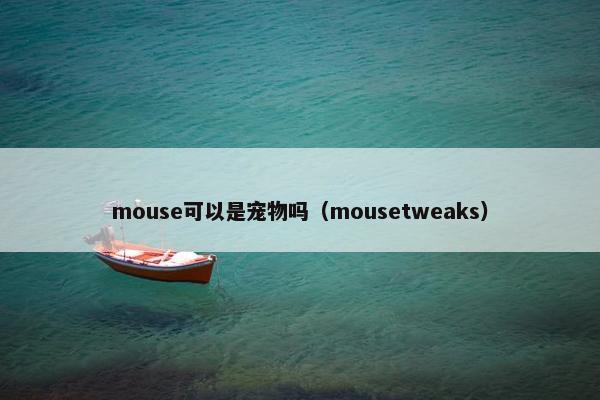 mouse可以是宠物吗（mousetweaks）