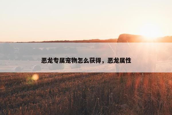 恶龙专属宠物怎么获得，恶龙属性