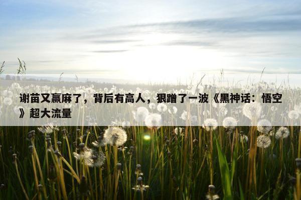 谢苗又赢麻了，背后有高人，狠蹭了一波《黑神话：悟空》超大流量