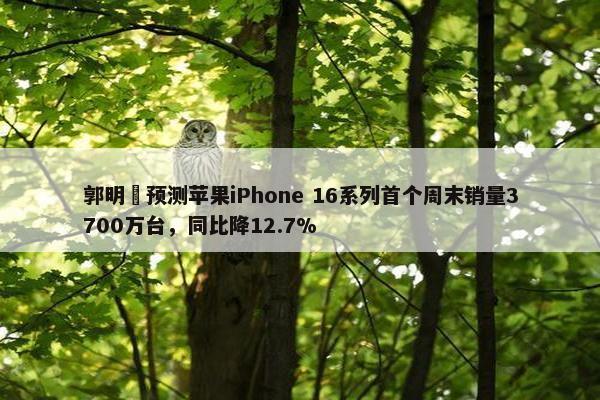 郭明錤预测苹果iPhone 16系列首个周末销量3700万台，同比降12.7%