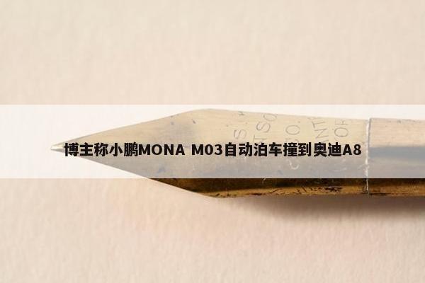 博主称小鹏MONA M03自动泊车撞到奥迪A8