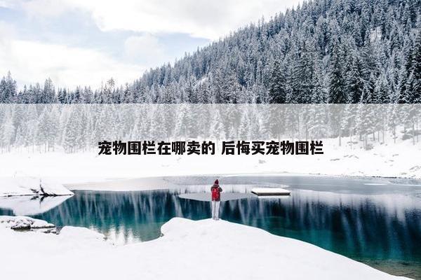 宠物围栏在哪卖的 后悔买宠物围栏