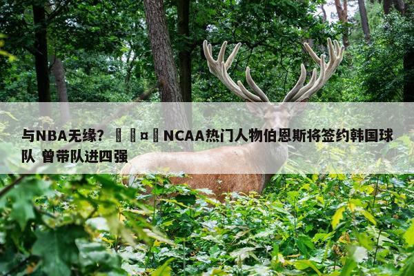 与NBA无缘？🤔NCAA热门人物伯恩斯将签约韩国球队 曾带队进四强