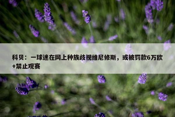 科贝：一球迷在网上种族歧视维尼修斯，或被罚款6万欧+禁止观赛